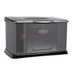 Генератор газовый Briggs & Stratton 14000